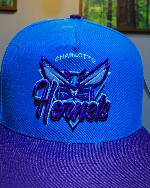 Boné azul e roxo do Charlotte Hornets